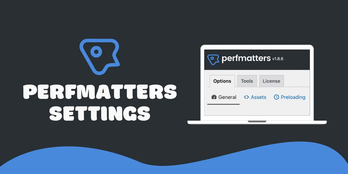 افزونه Perfmatters 